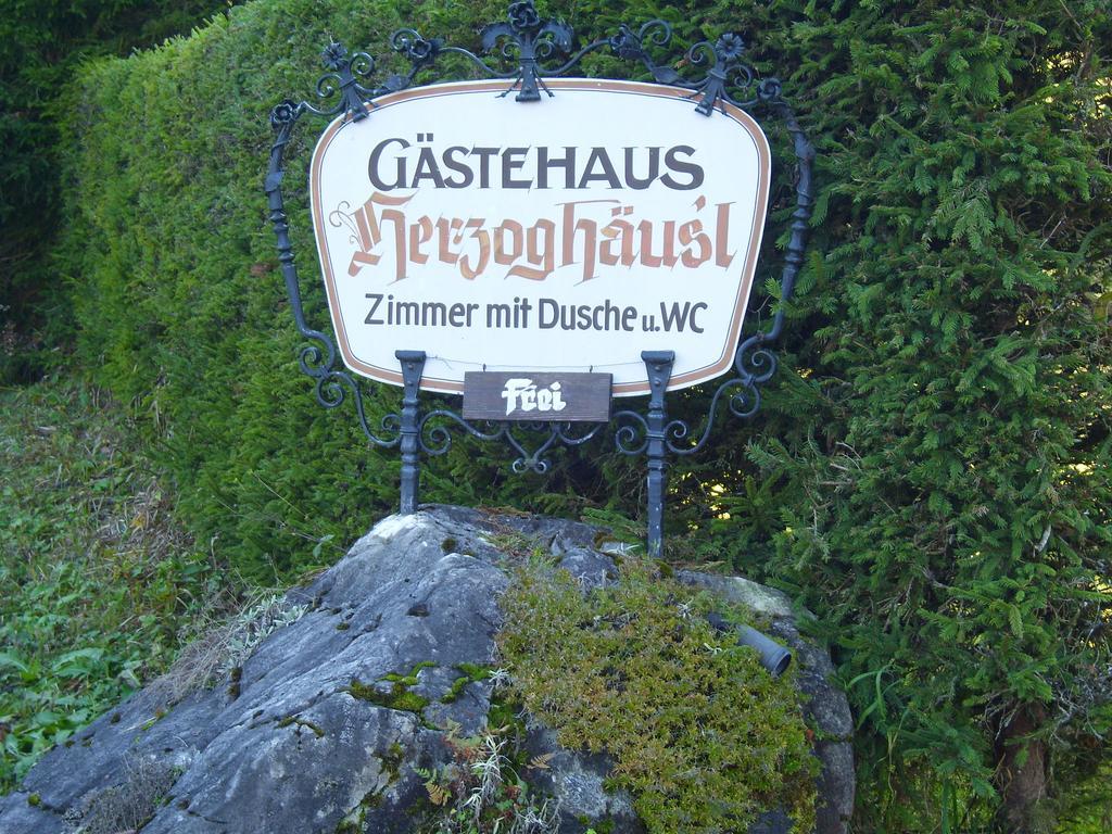 Pension Herzoghaeusel Bischofswiesen Exterior foto